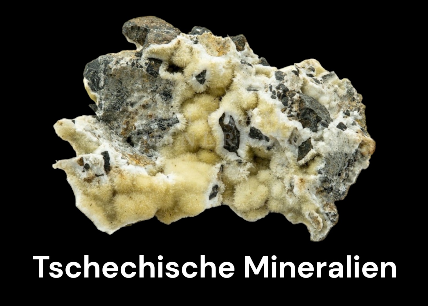 Tschechische